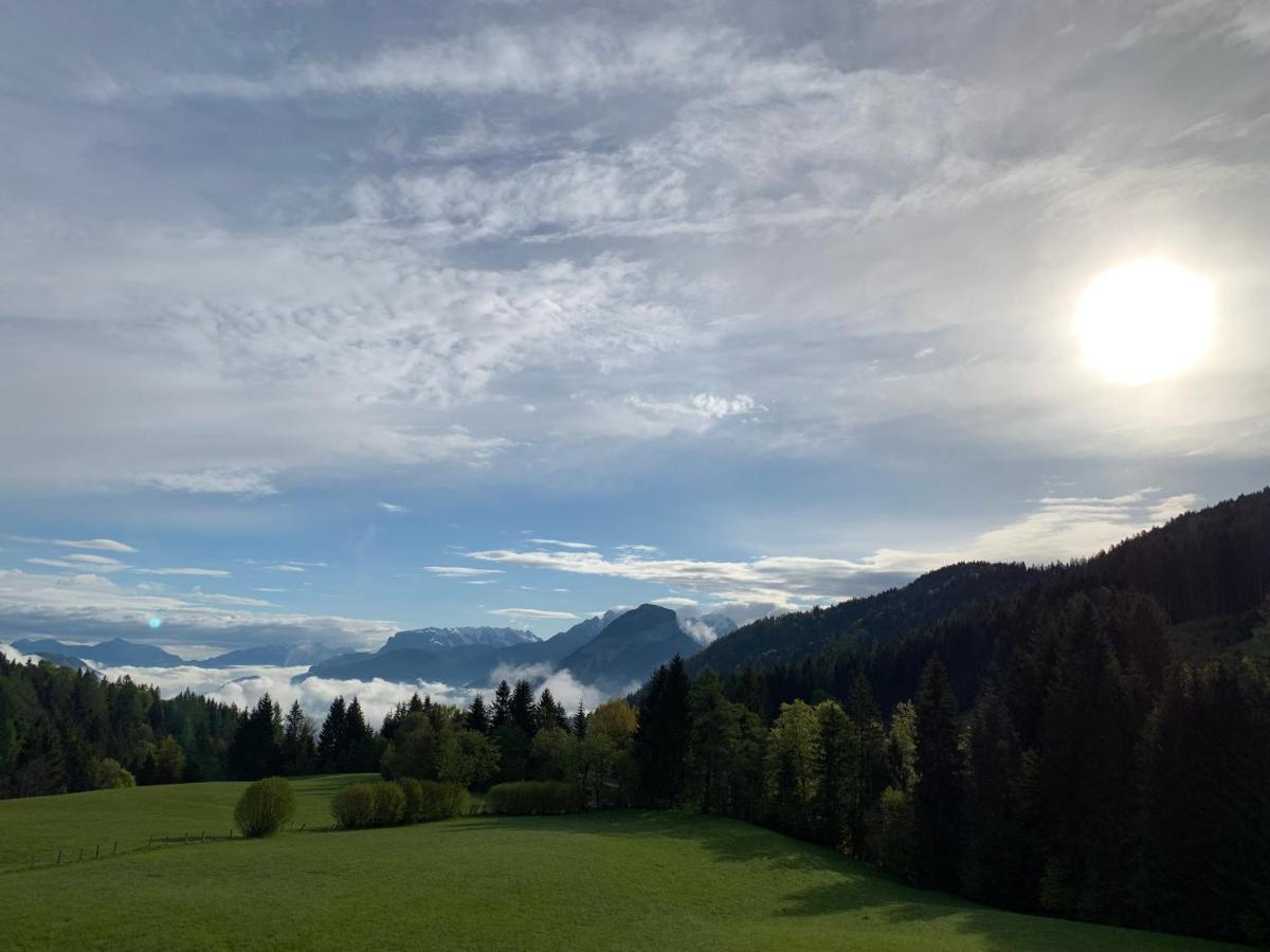 Kaiserblick Appartement *